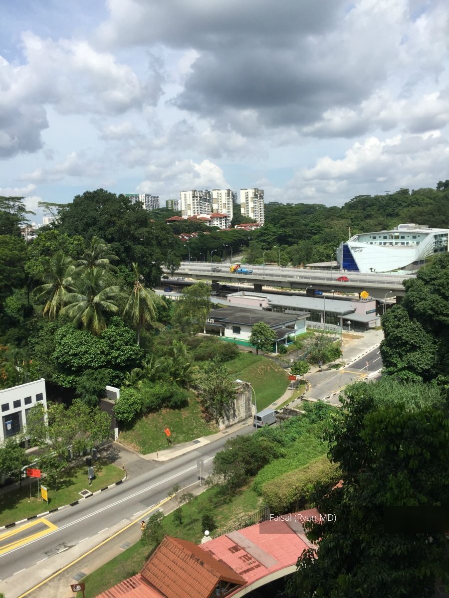 Hillview Heights (D23), Condominium #108327462